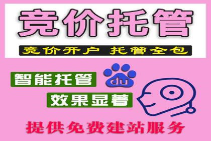 SEM竞价托管助力企业突破案例